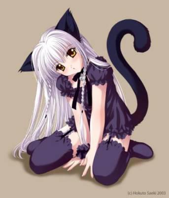 sanaa